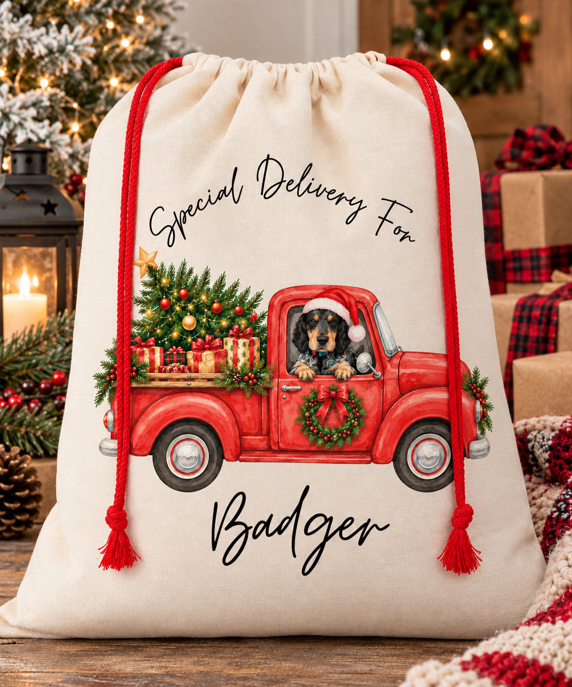 Personalised Christmas Sack For Pets - Truck Design